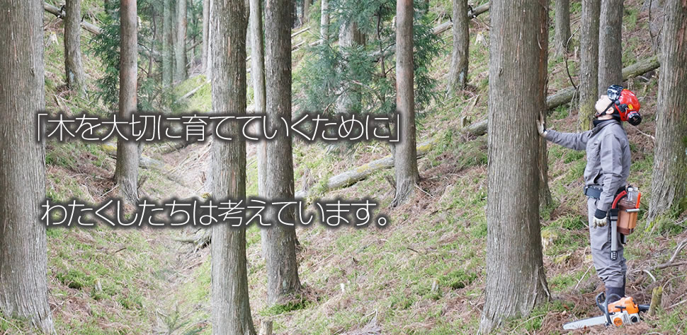 「木を大切に育てていくために」わたくしたちは考えています。