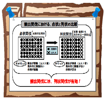 森林経営計画（仮称）について