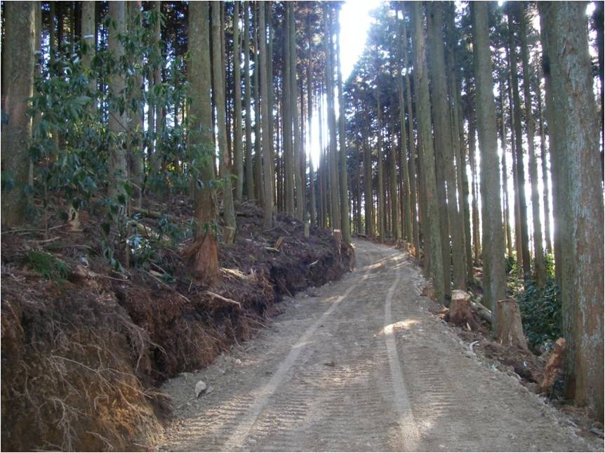 地形・地質に敵した作業道