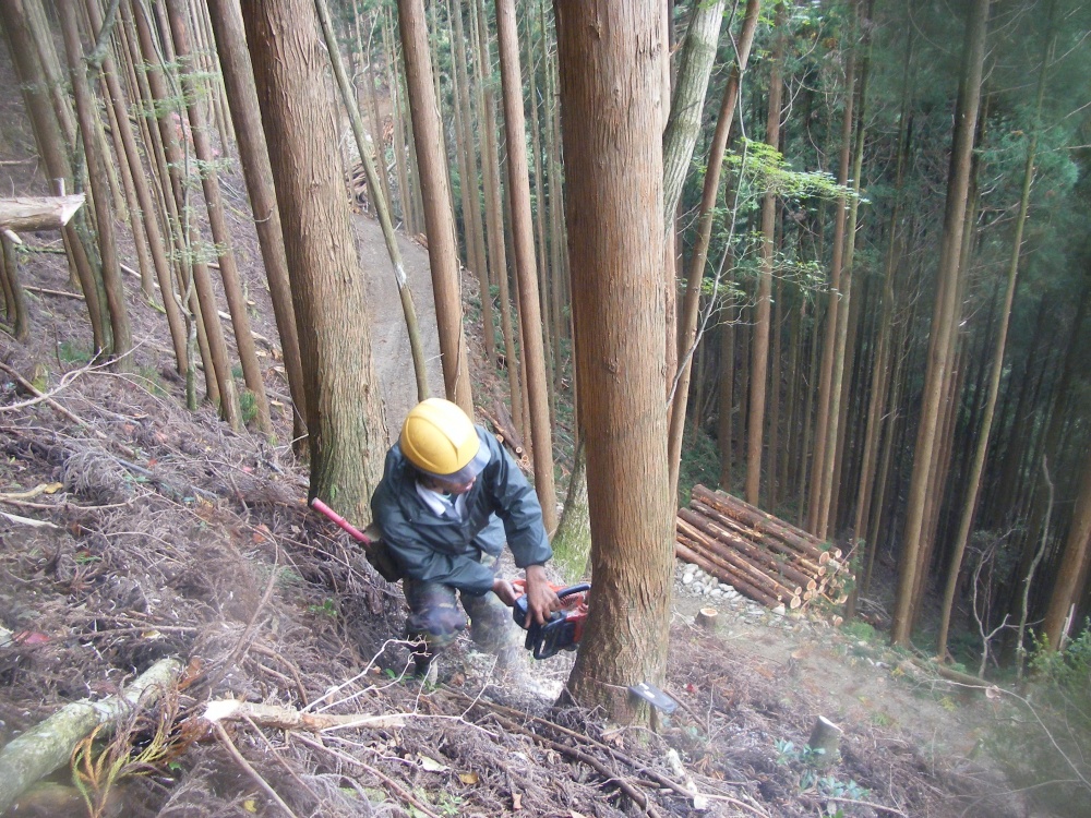 地域の風土を生かした素材生産